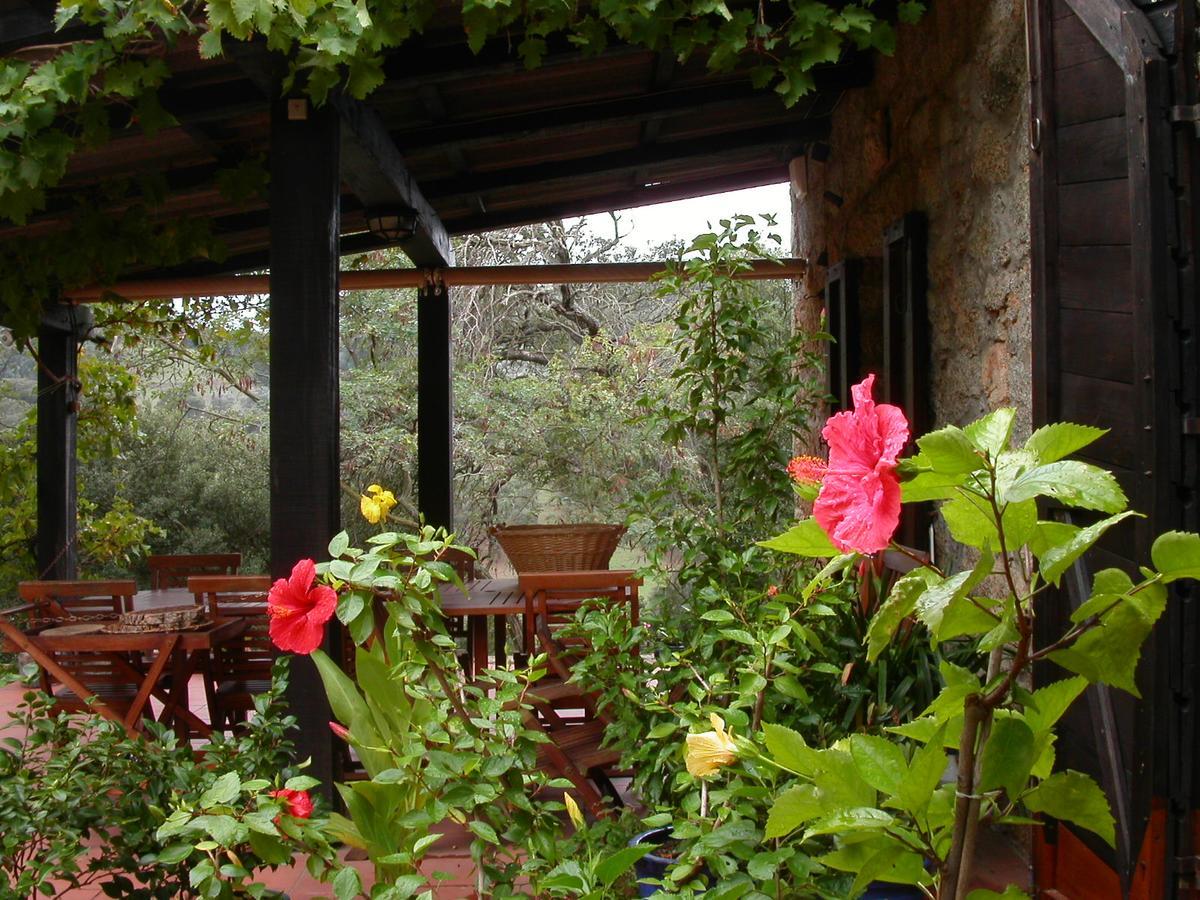 Maison D'Hotes De Charme De Croccano Sartène Eksteriør billede